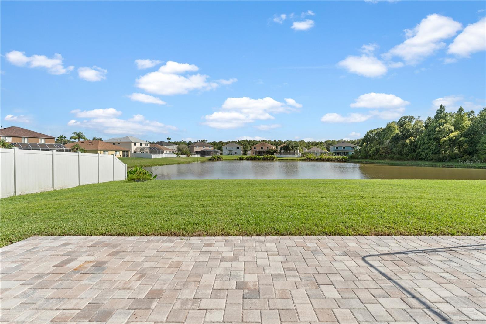 Backyard / Paver Patio