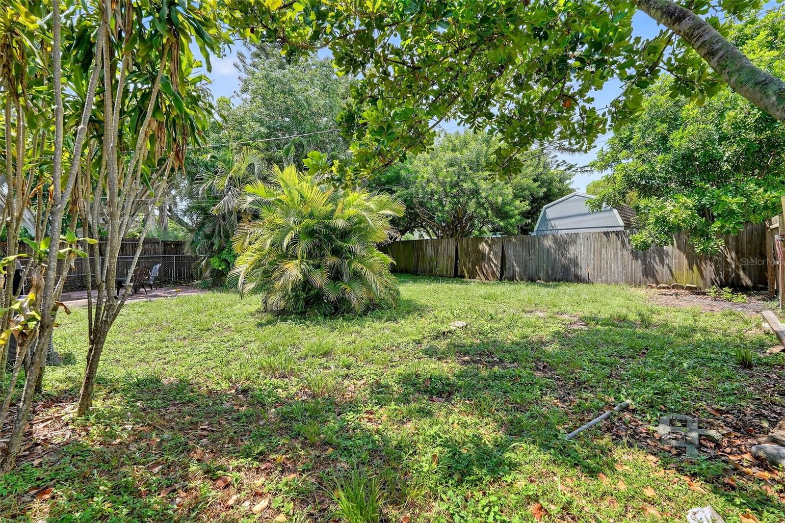 Backyard