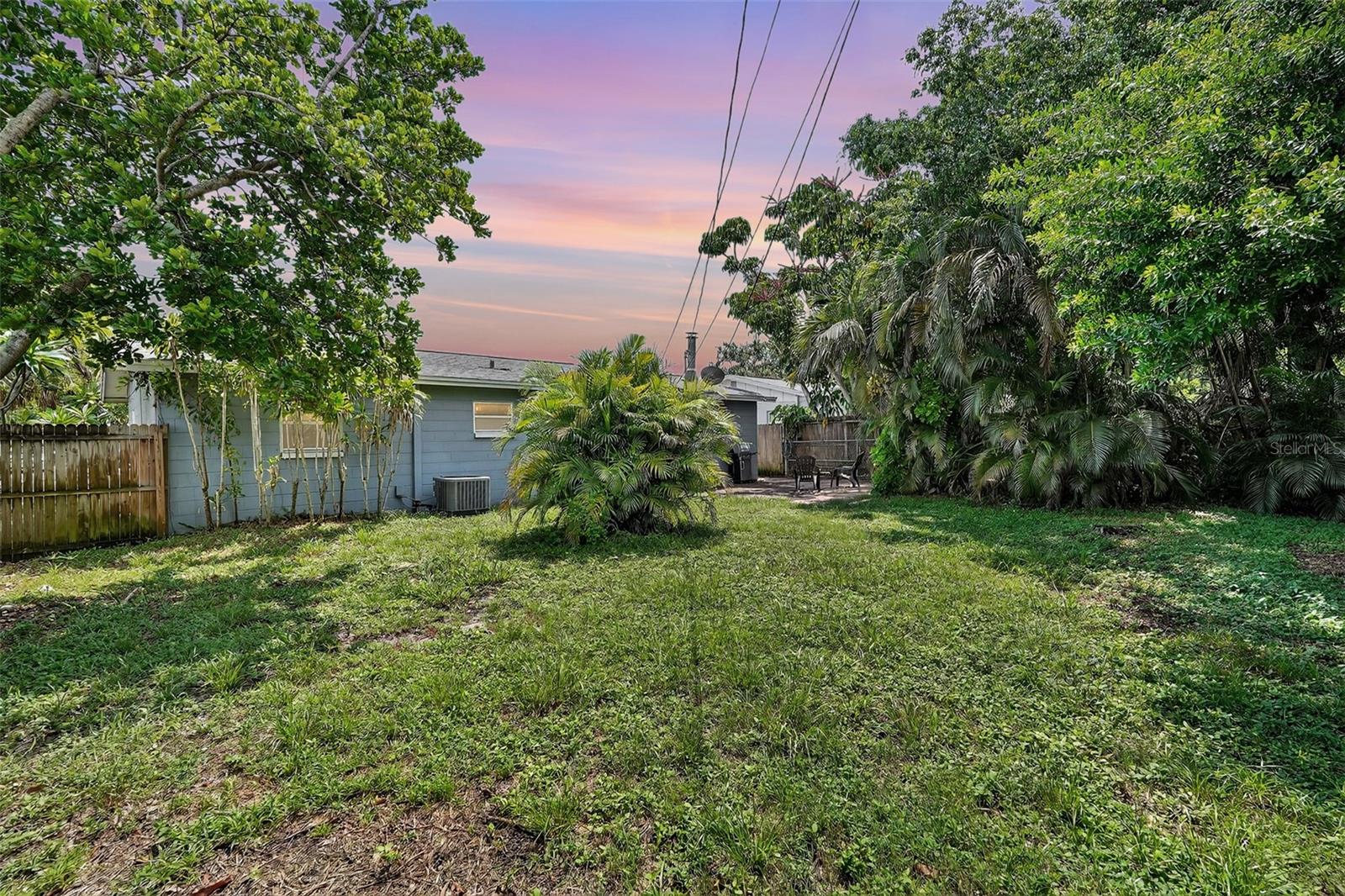 Backyard