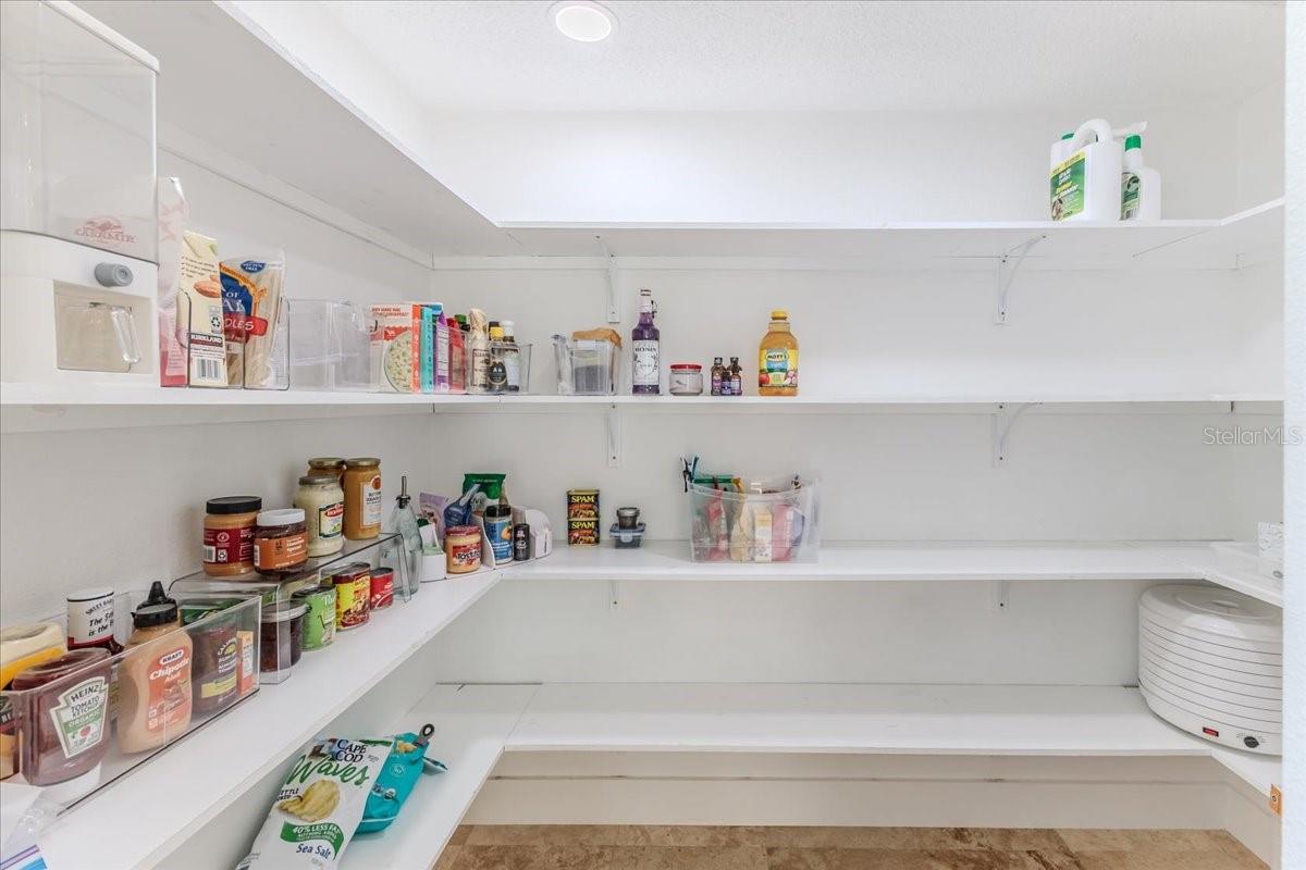 Huge Walk in Pantry