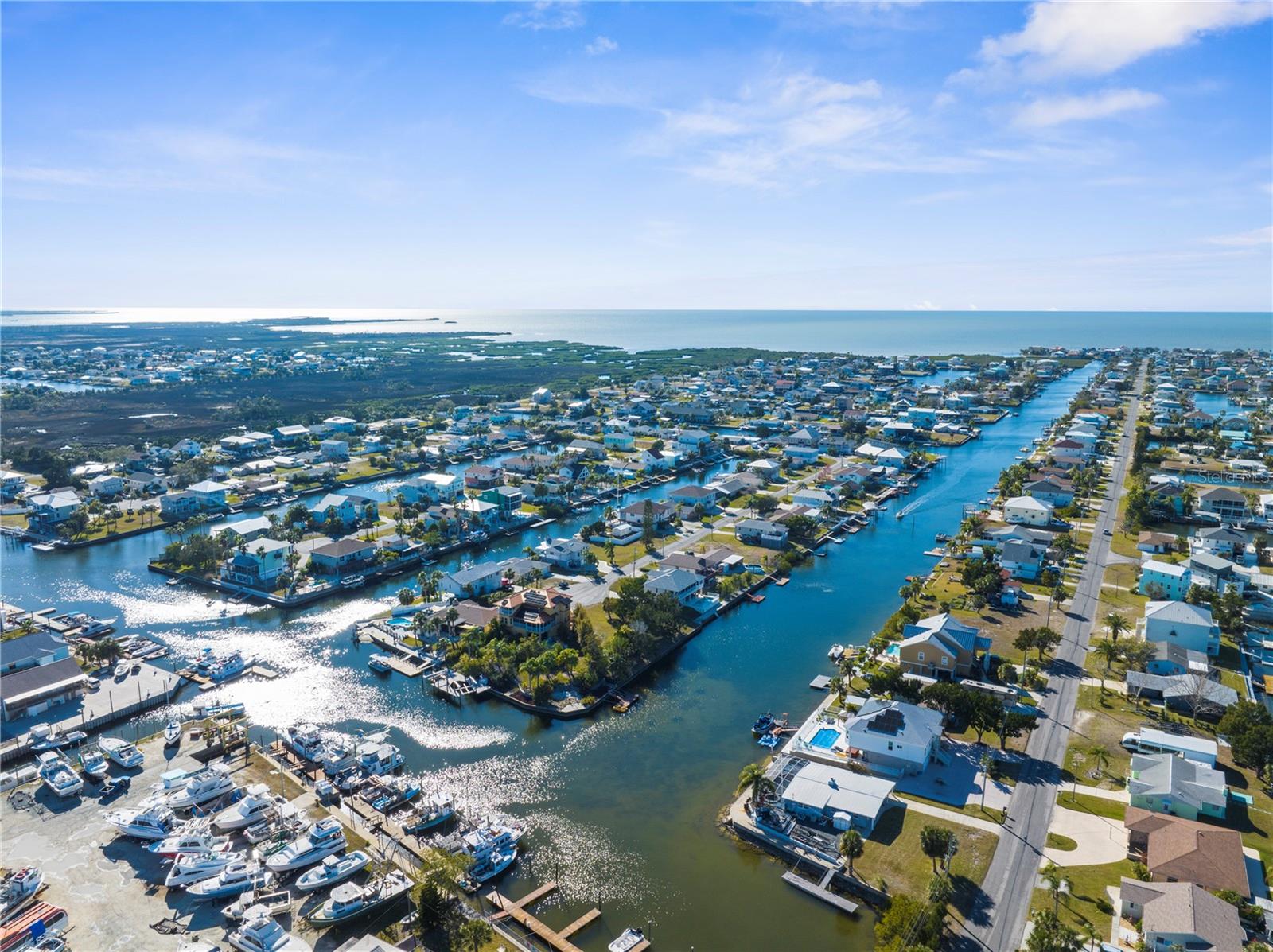 View of the Neighborhood