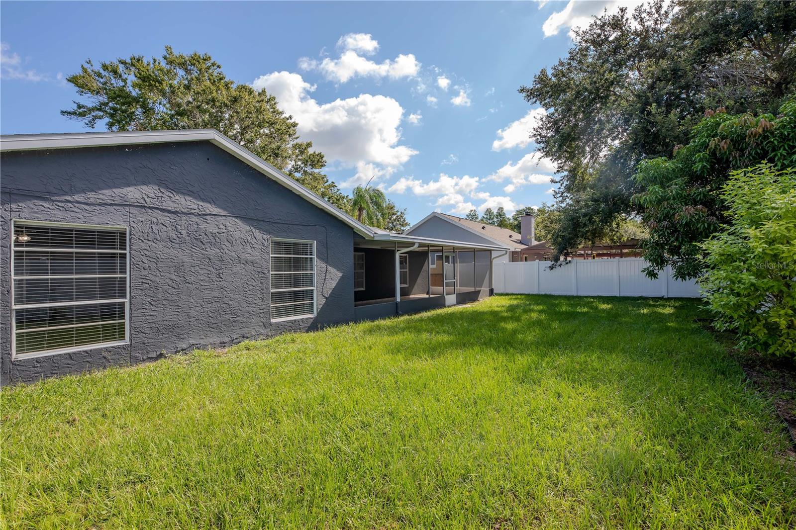 Nice look at back yard with mango tree