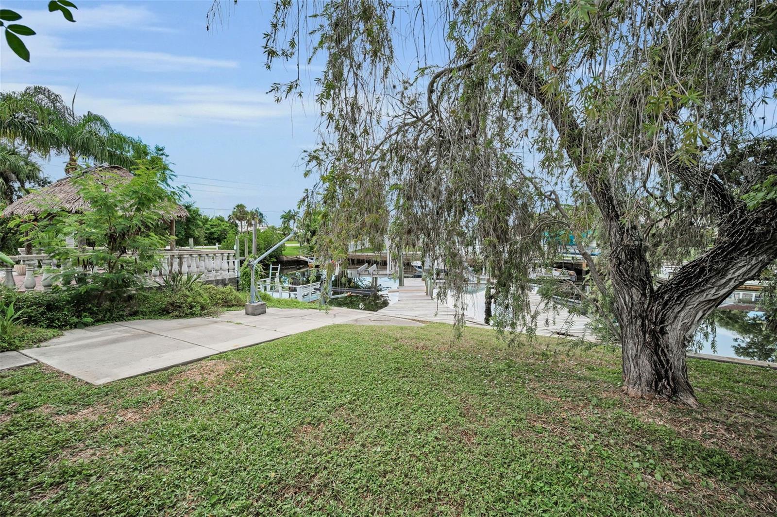 Back Yard