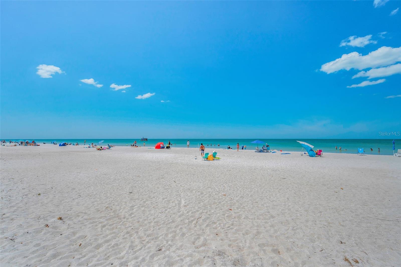 ... Indian Rocks Beach. Your Back Yard. Photo Taken from Complex..