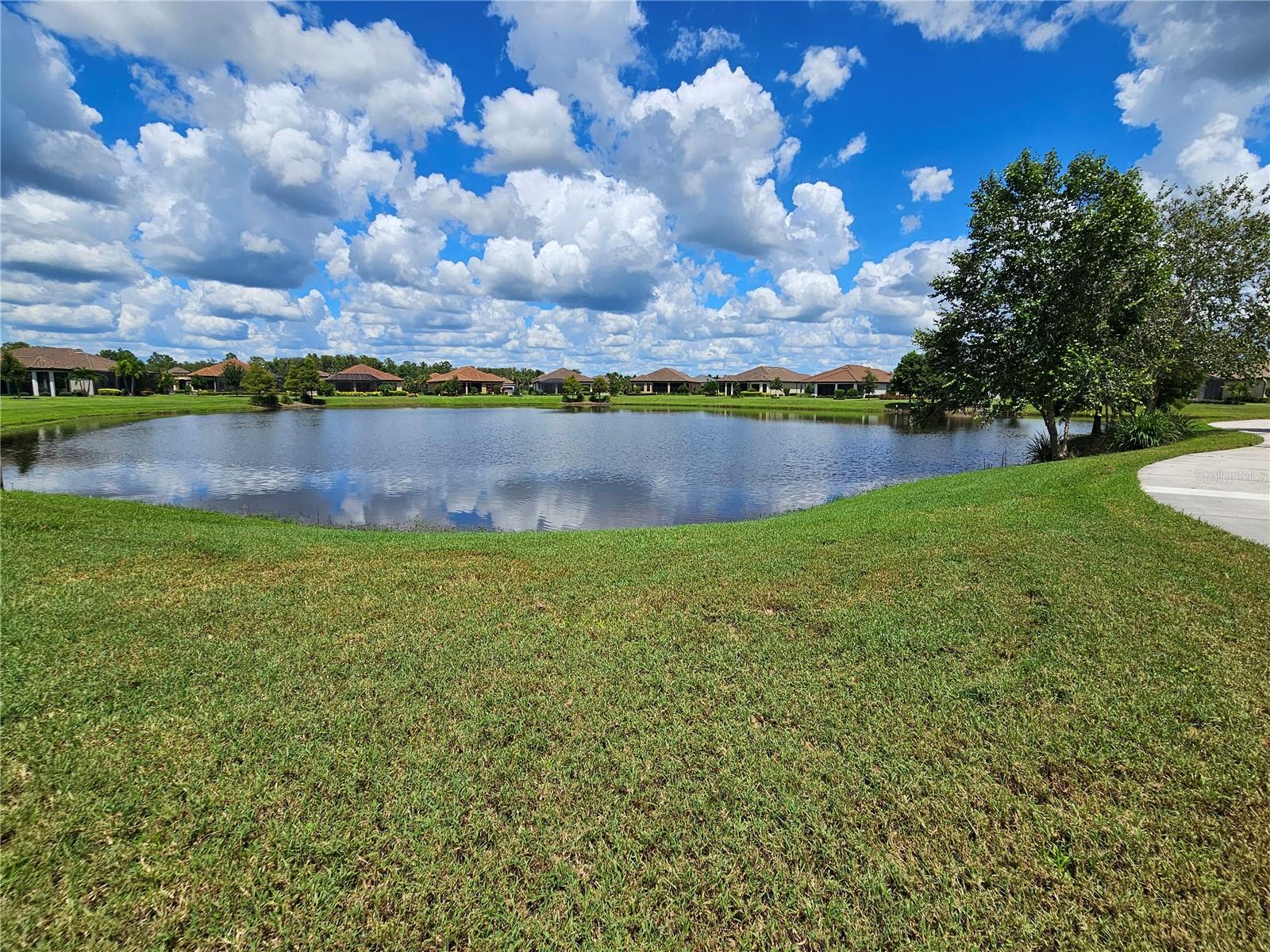 pond