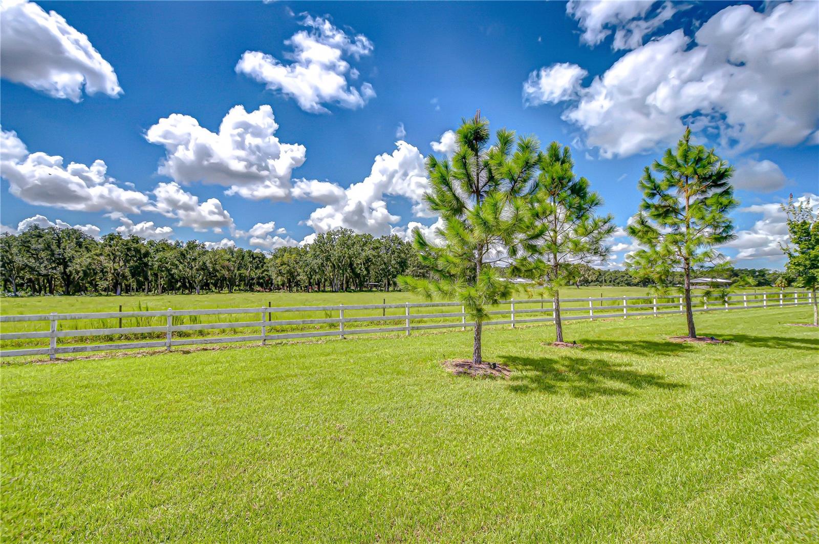 No Backyard Neighbors for Ultimate Privacy!