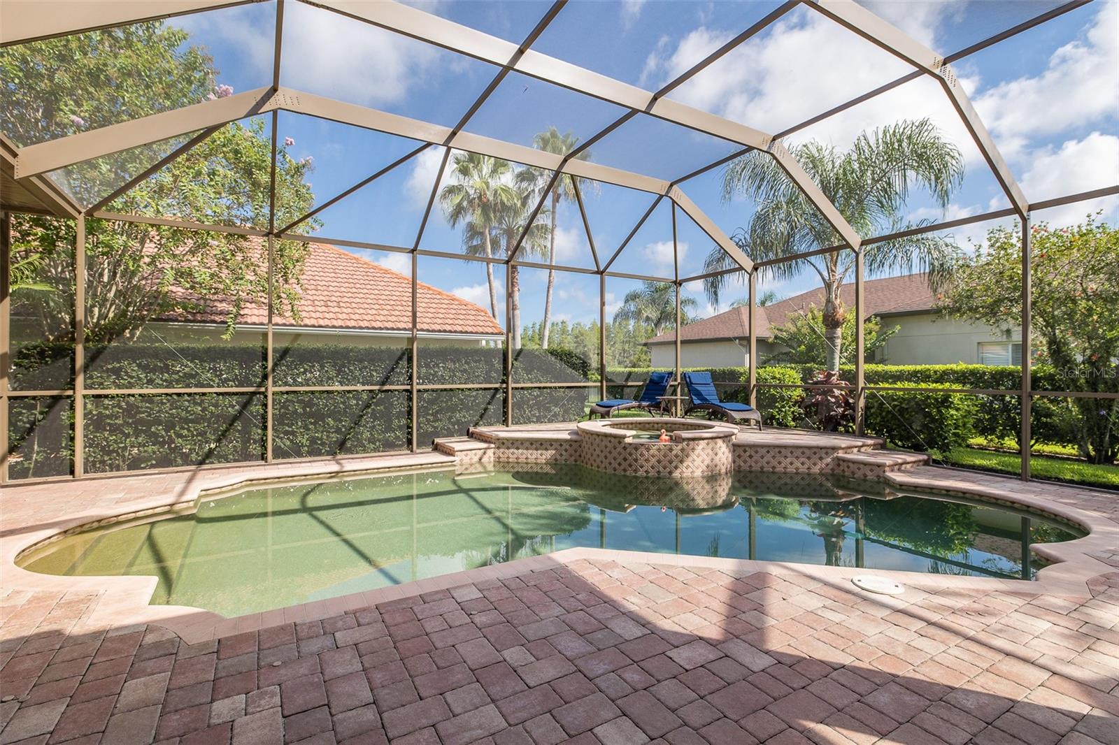 Sparkling POOL & Spa!