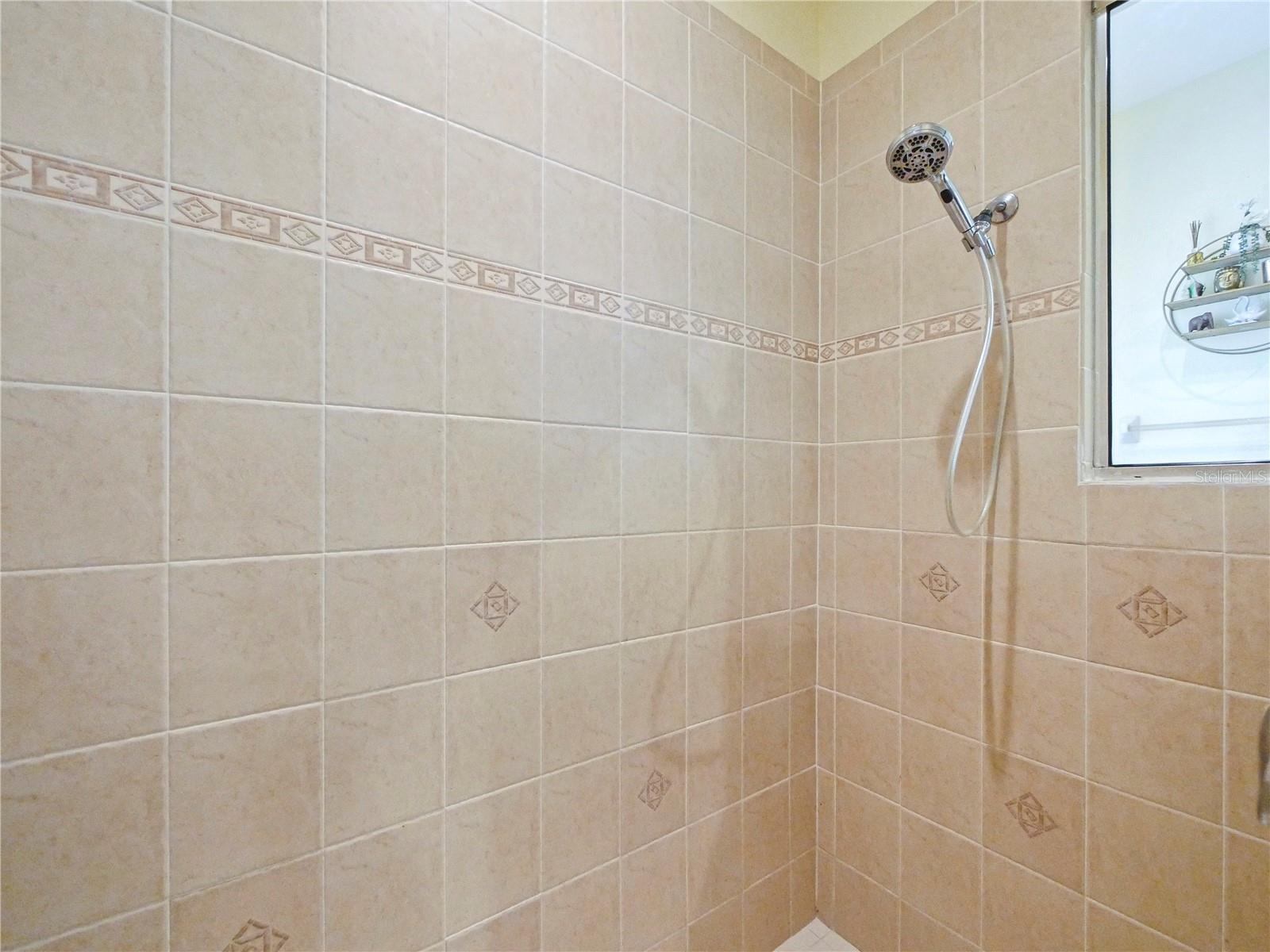 Master Walk in shower