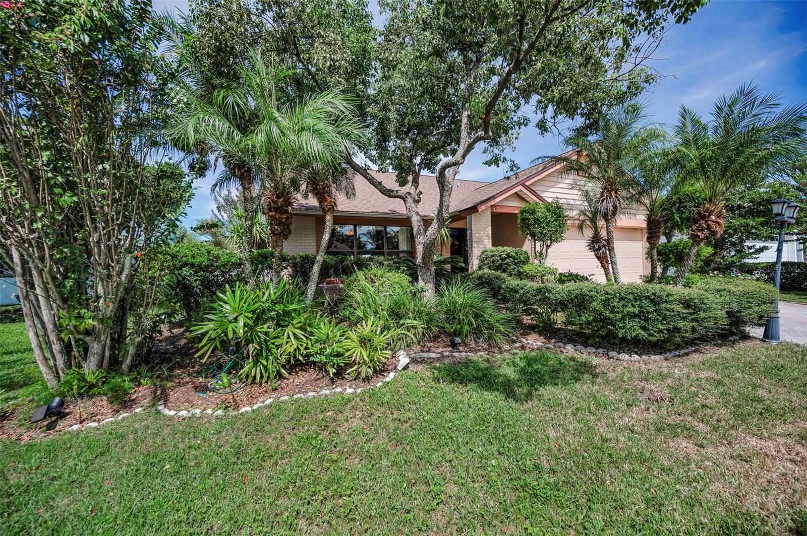 MATURE LANDSCAPING