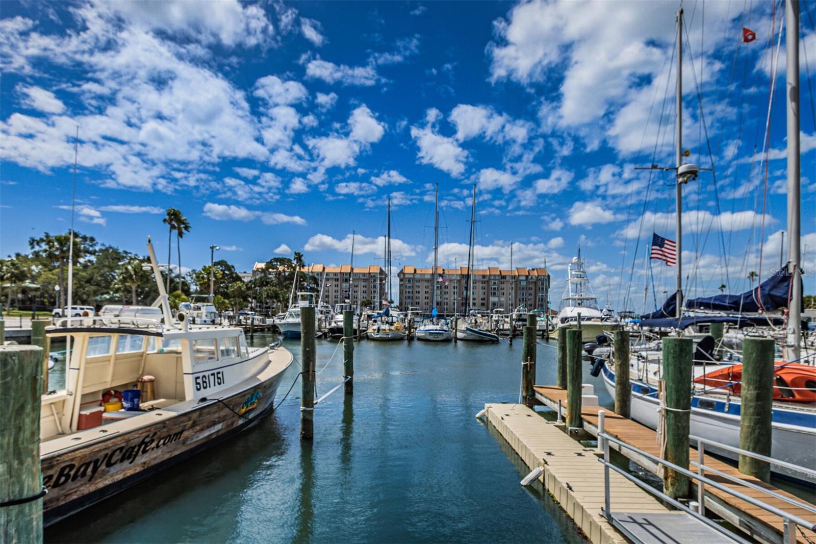 Dunedin Marina
