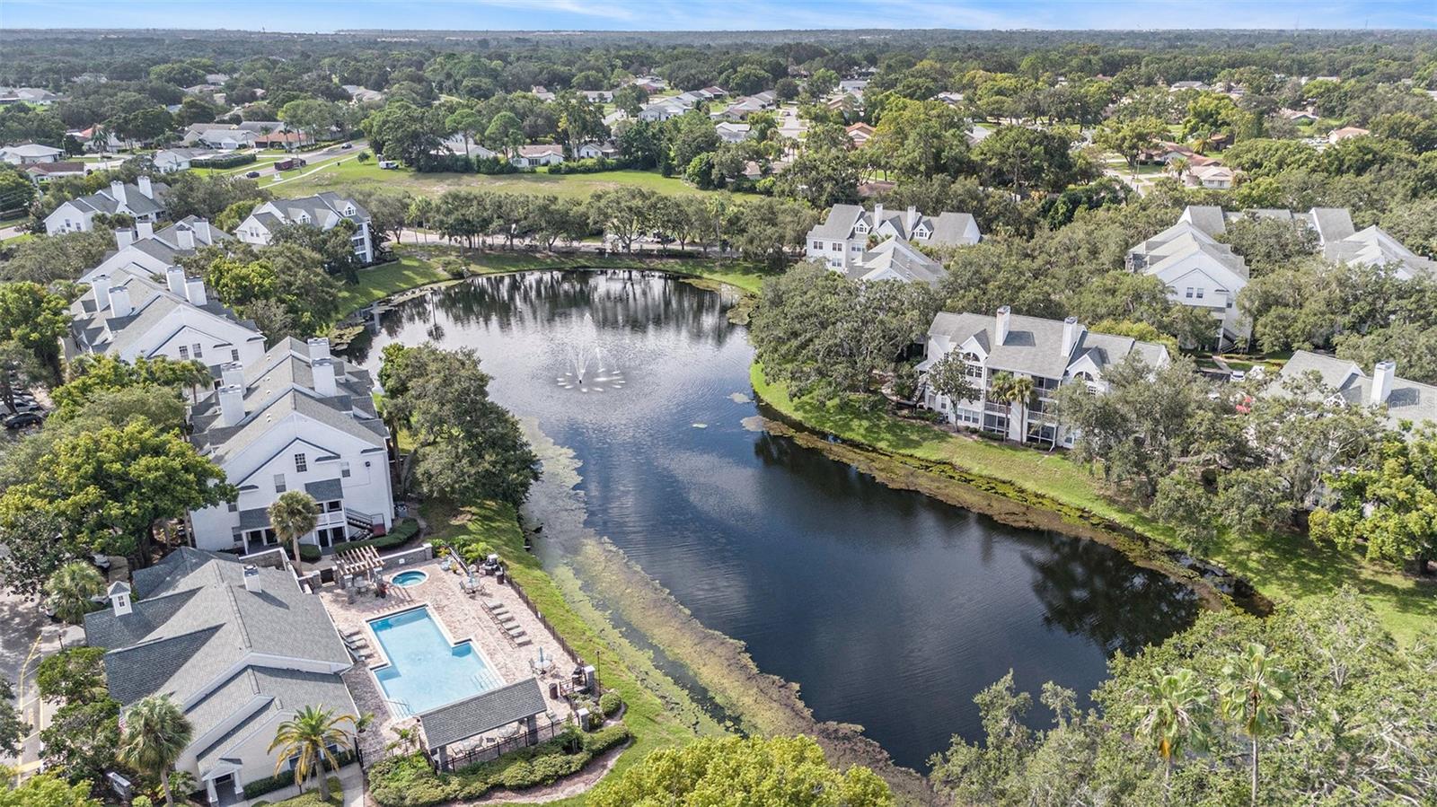 Aerial - The Bentley at Cobbs Landing View - Near Lake Tarpon, community pond