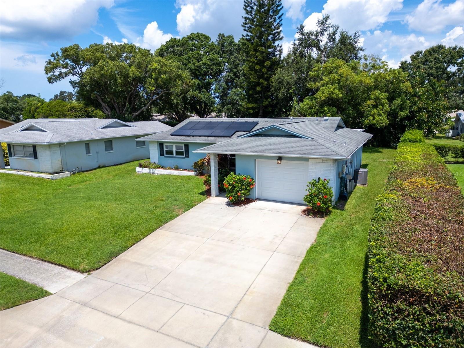 Widened driveway and privacy landscaping~
