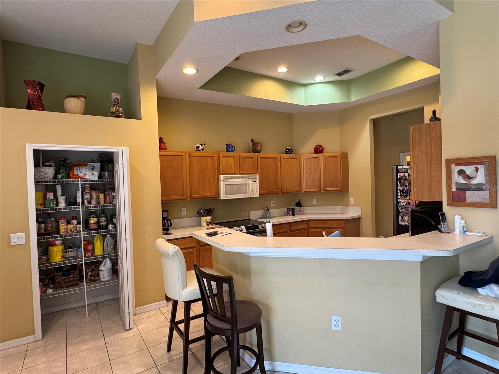 Kitchen area with pantry