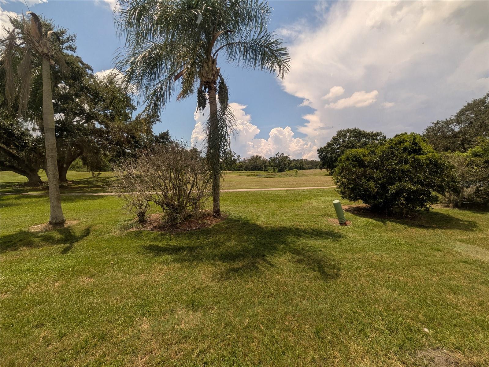View from enclosed Florida Room
