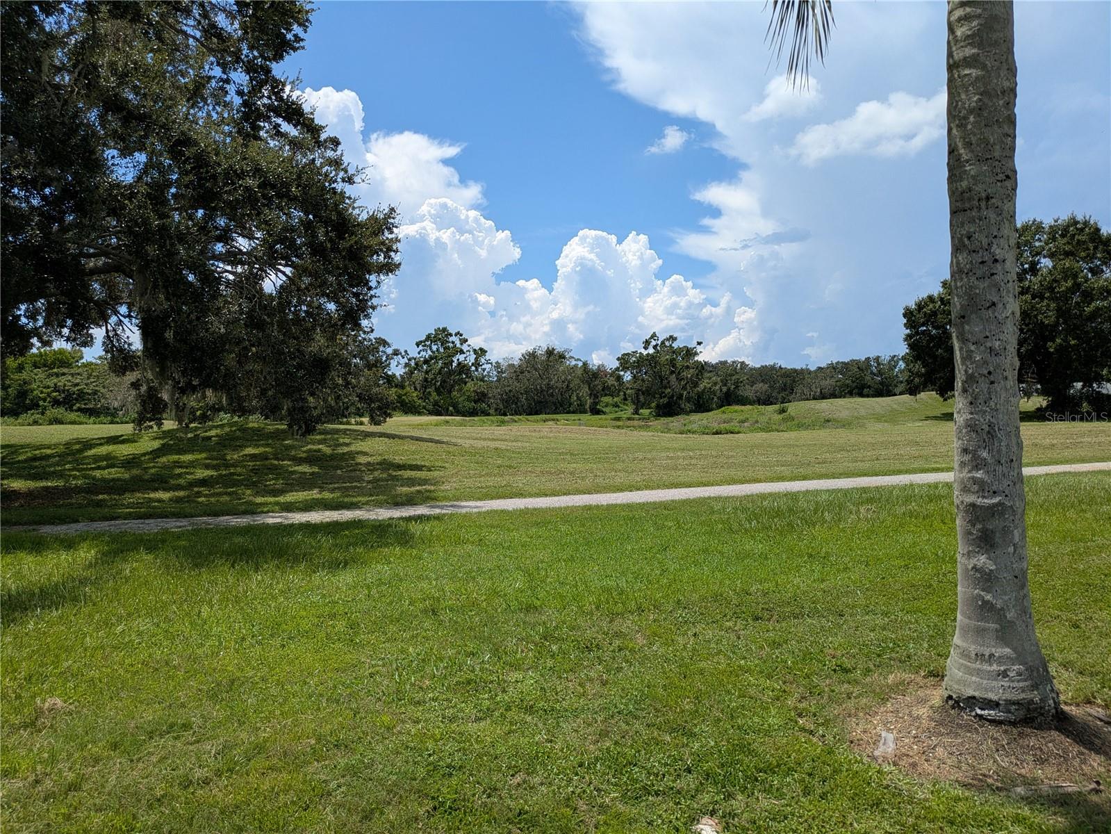 View from enclosed Florida Room