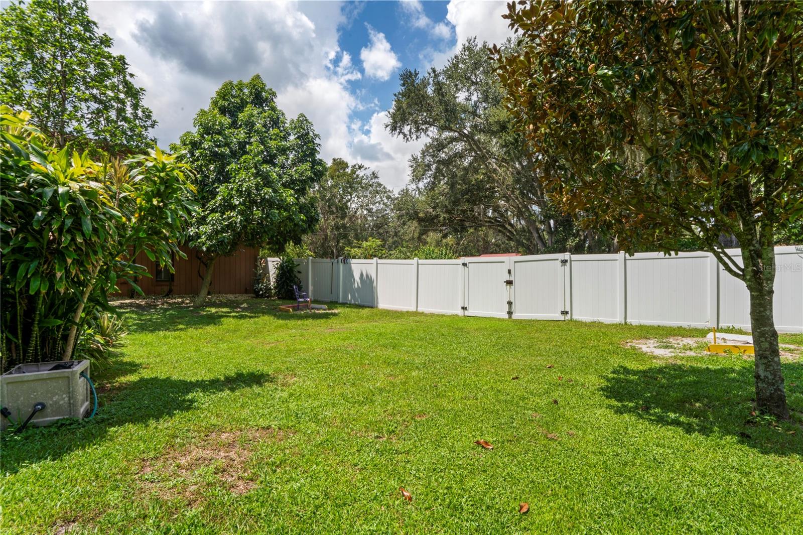 Backyard