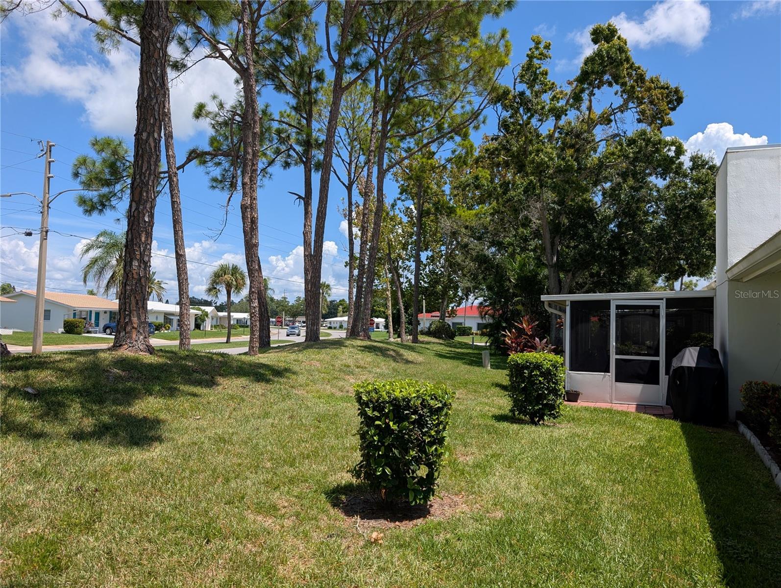 Backyard view.