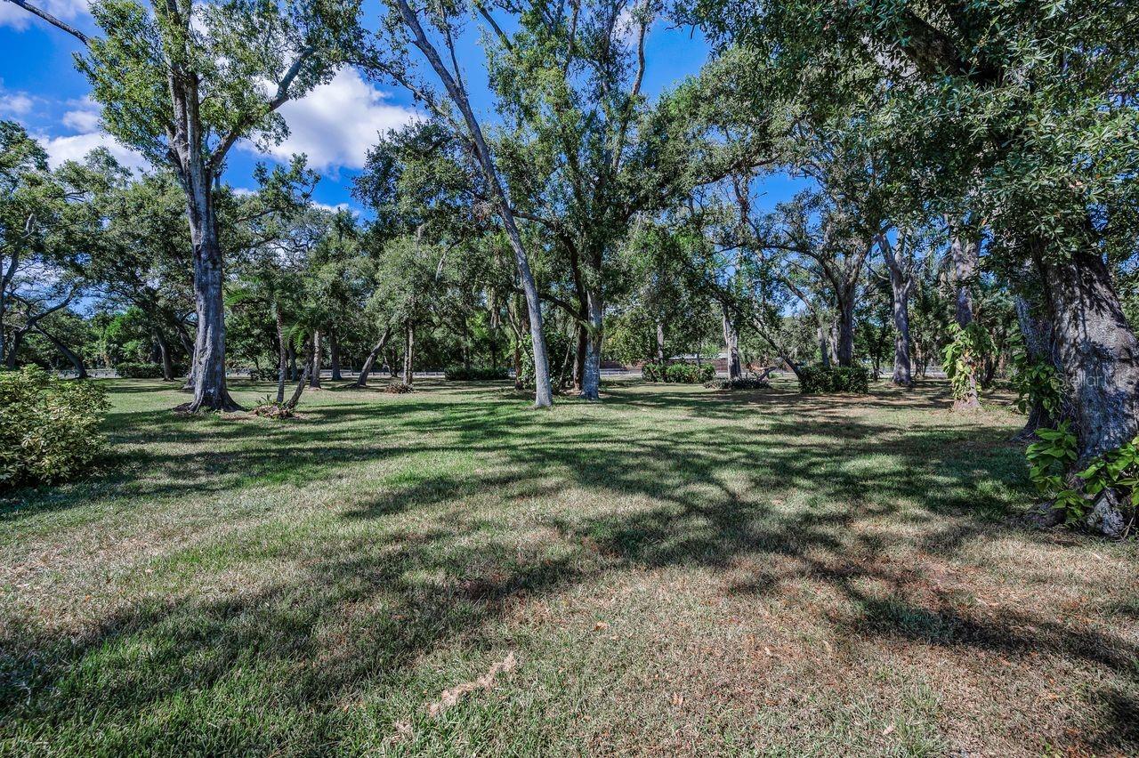 Wide open spaces!