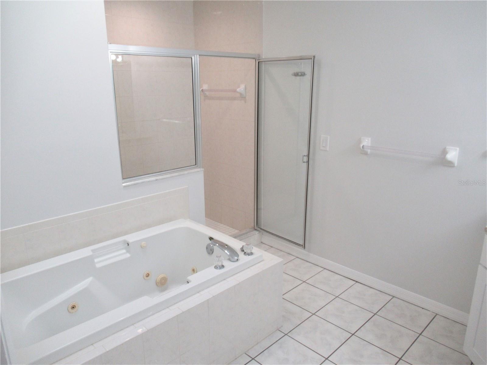 Primary Bath jetted tub and step in shower