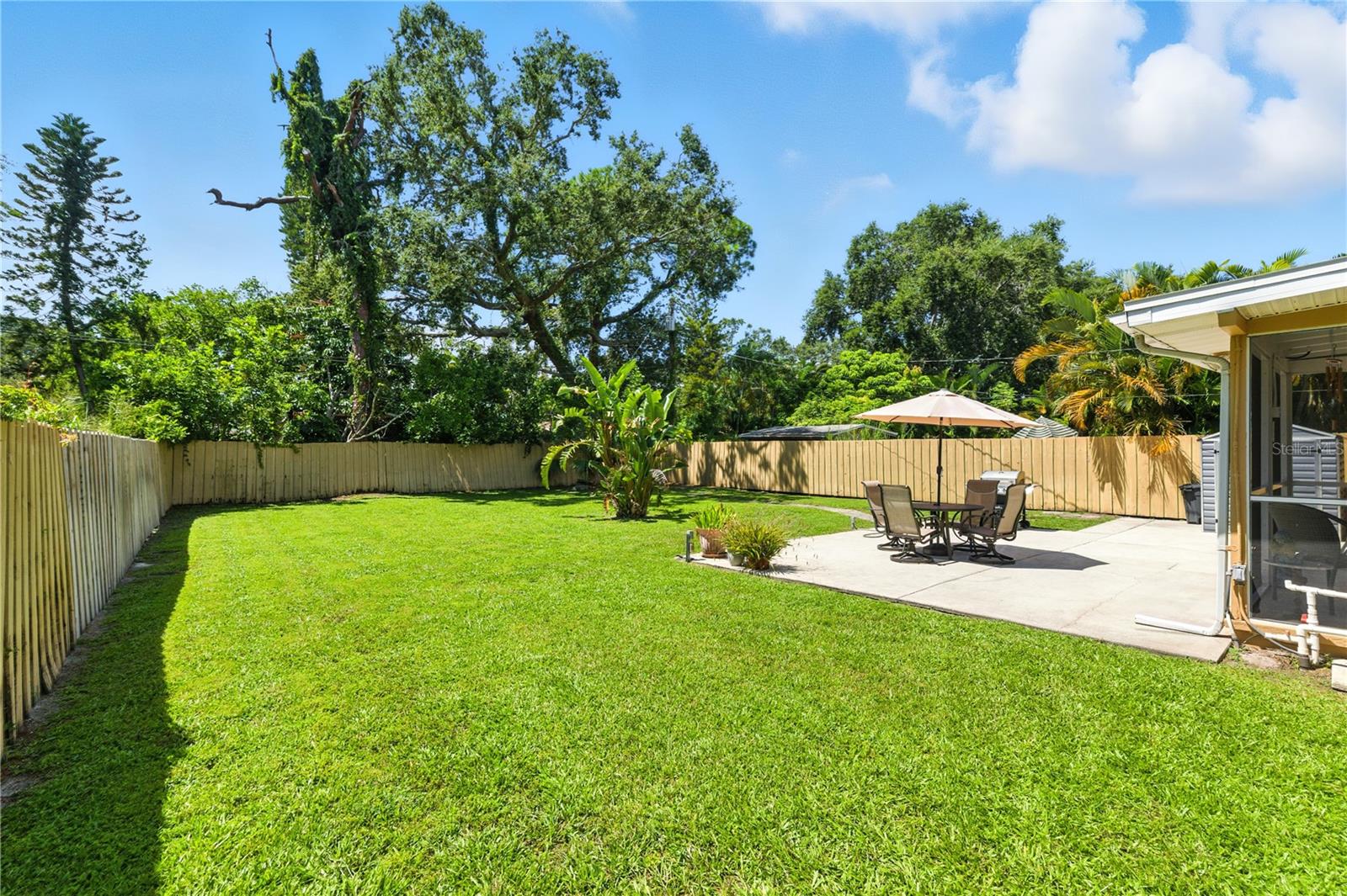 Back Yard