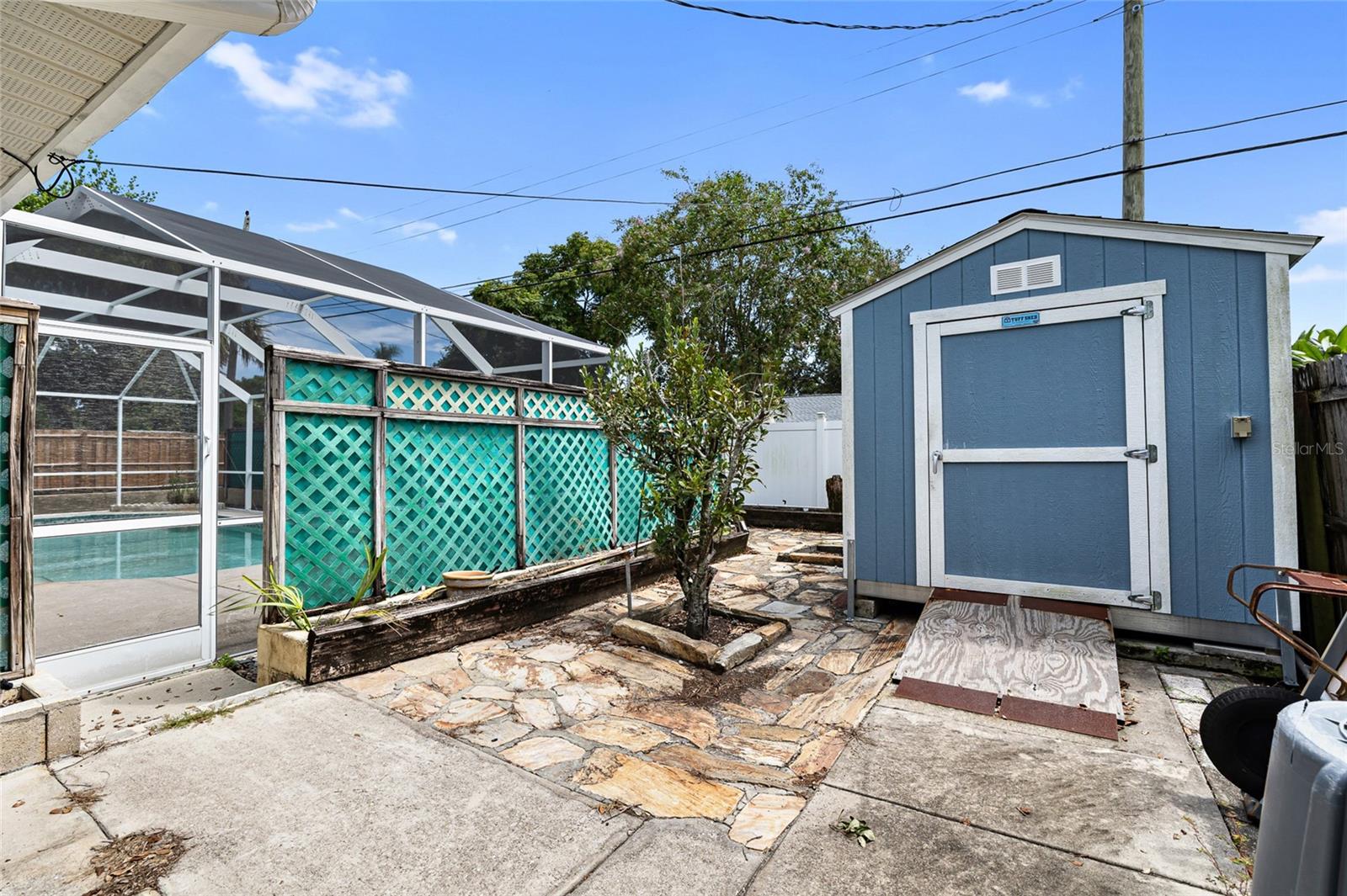 Shed and Bay Leaf Tree