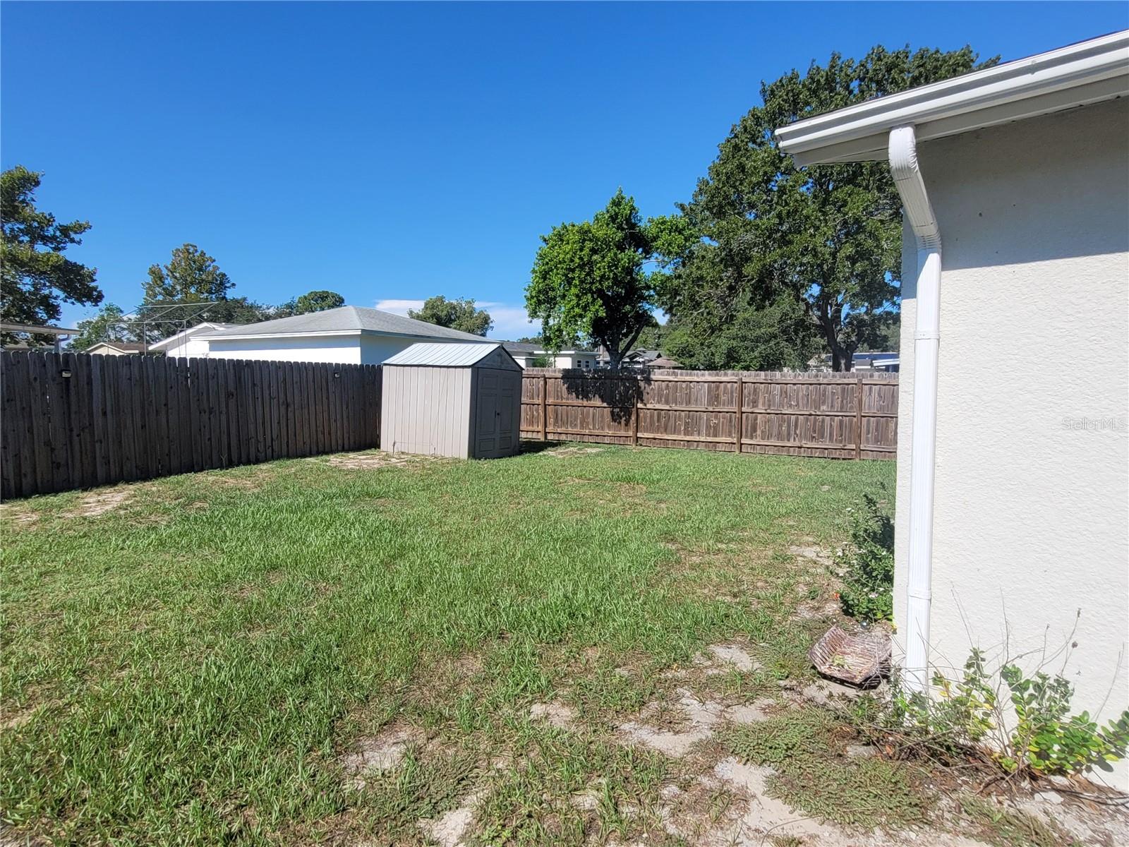 Shed and Fencing