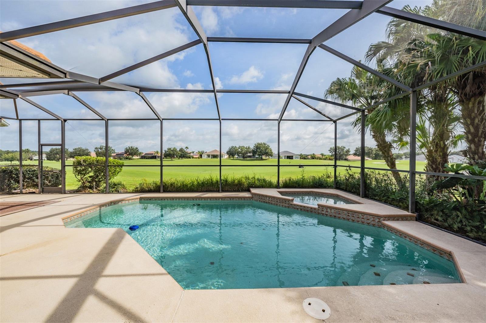 Spacious pool with spill over spa!