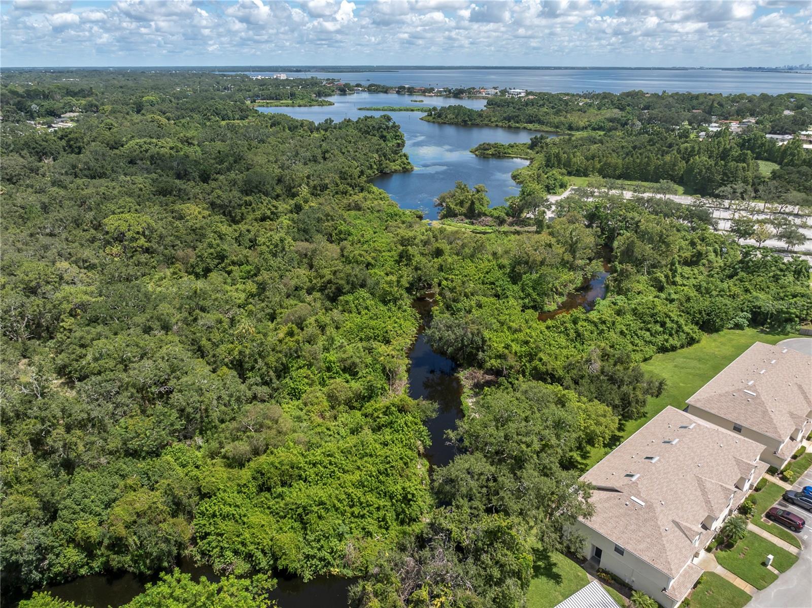 HERE'S A GREAT SHOT SHOWING THE WATERWAY THAT GOES OUT TO TAMPA BAY  (1377 MCMULLEN BOOTH RD)