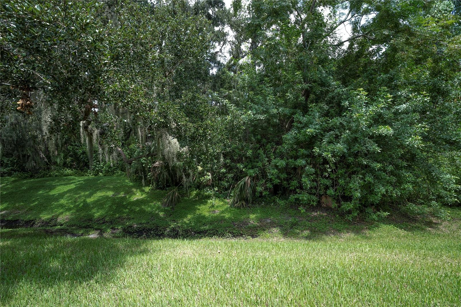 THIS IS THE VIEW DIRECTLY OUT BACK OF YOUR NEW HOME; GO RIGHT TO GET TO THE DOCK  (1377 MCMULLEN BOOTH RD)