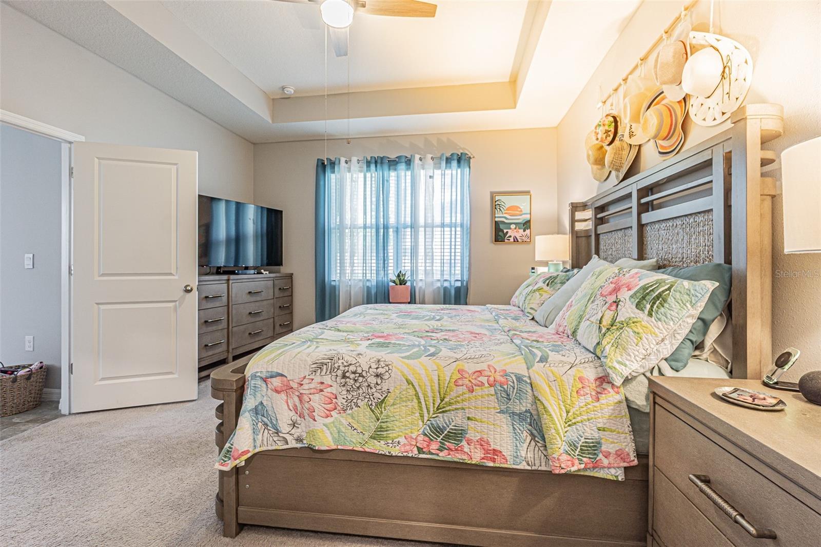 Tray ceiling adds character with double window to conervation