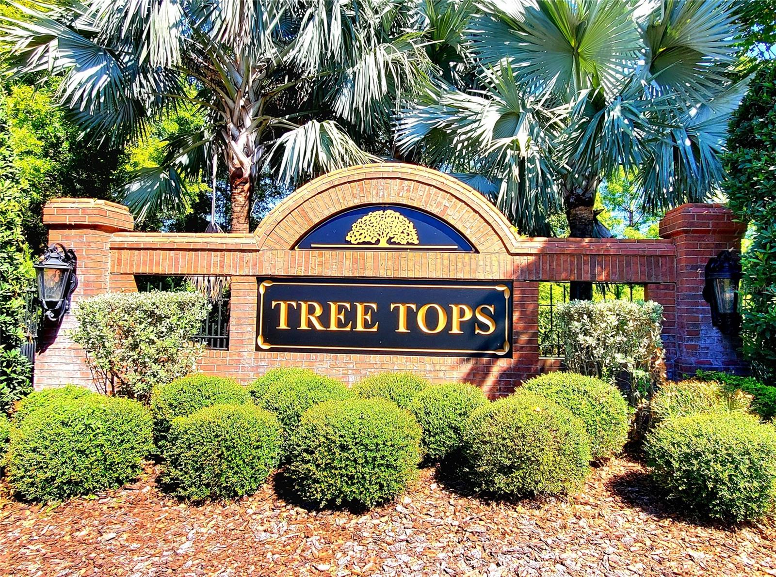 TREE TOPS NEIGHBORHOOD
