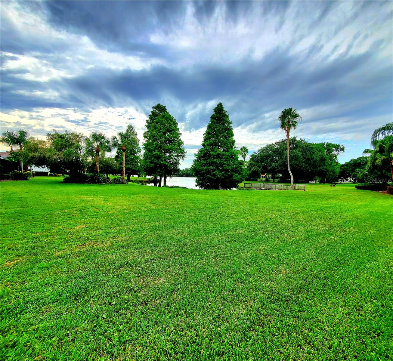 BIG BACKYARD