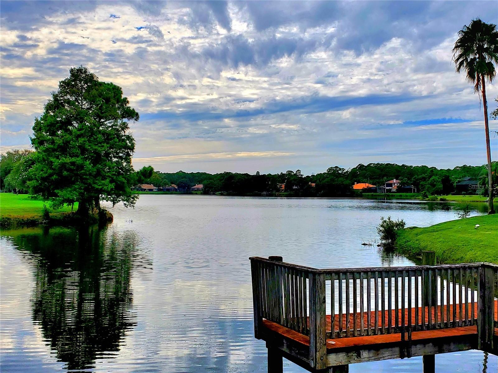TREE TOPS LAKE