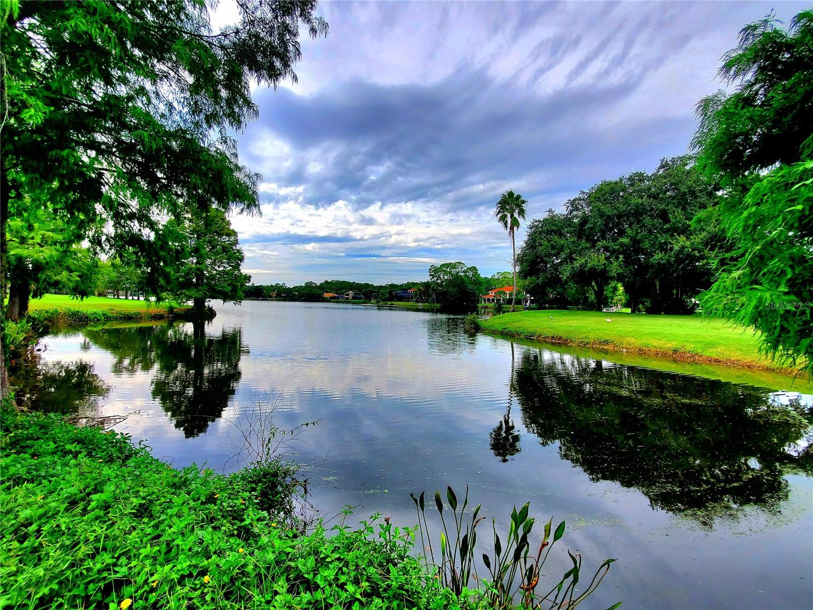 SCENIC VIEW
