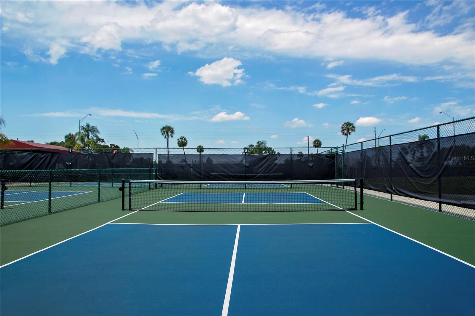Pickle Ball