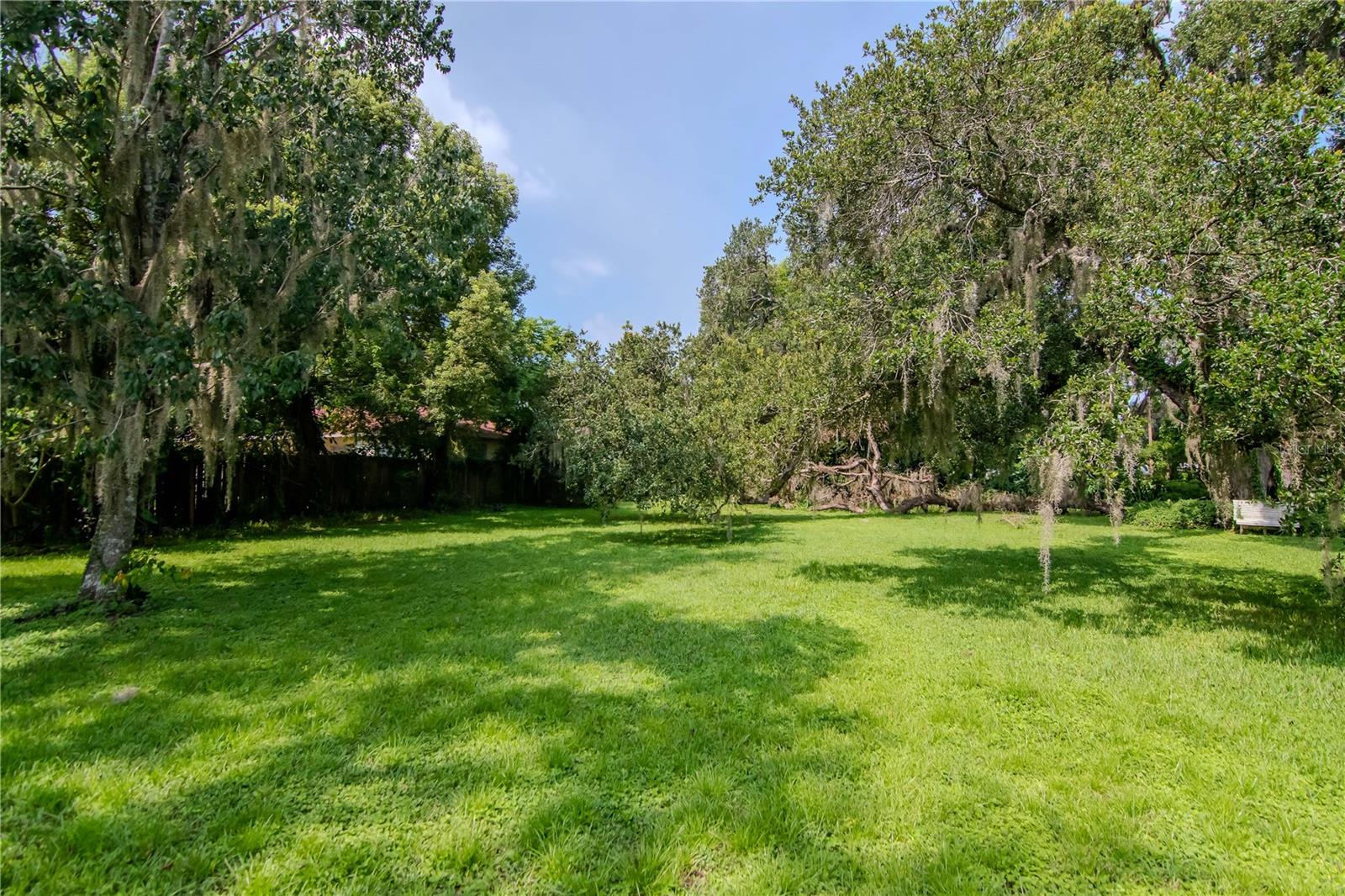 Huge Peaceful Property with fruit trees