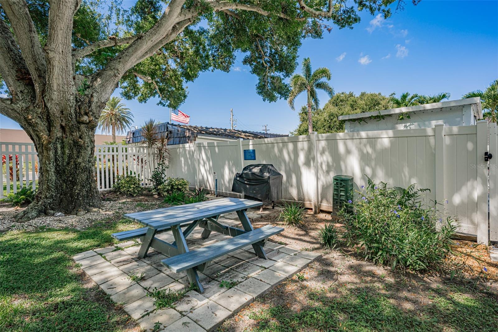 BBQ Grill & Picnic Table