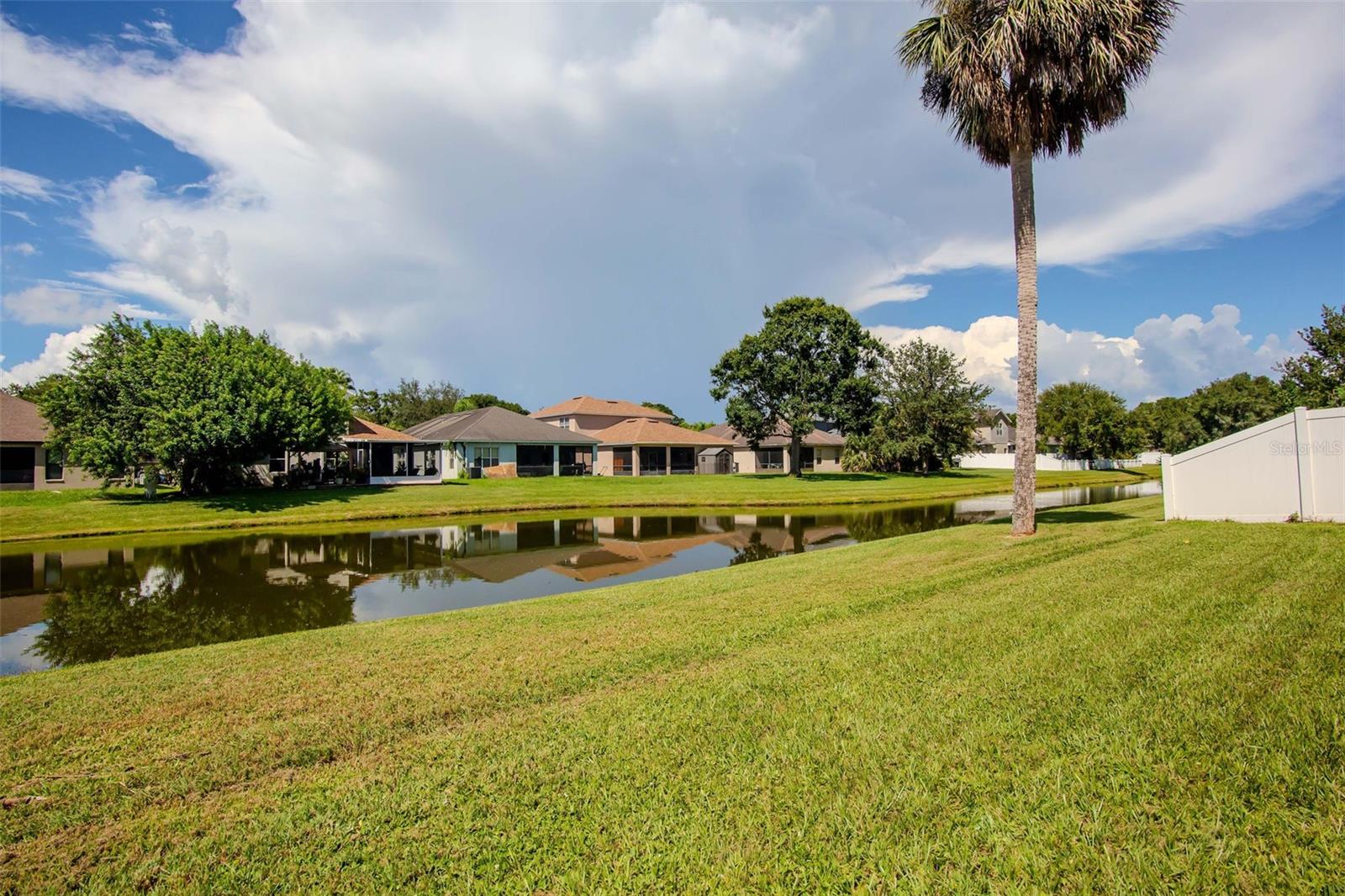 Pondview for Backyard