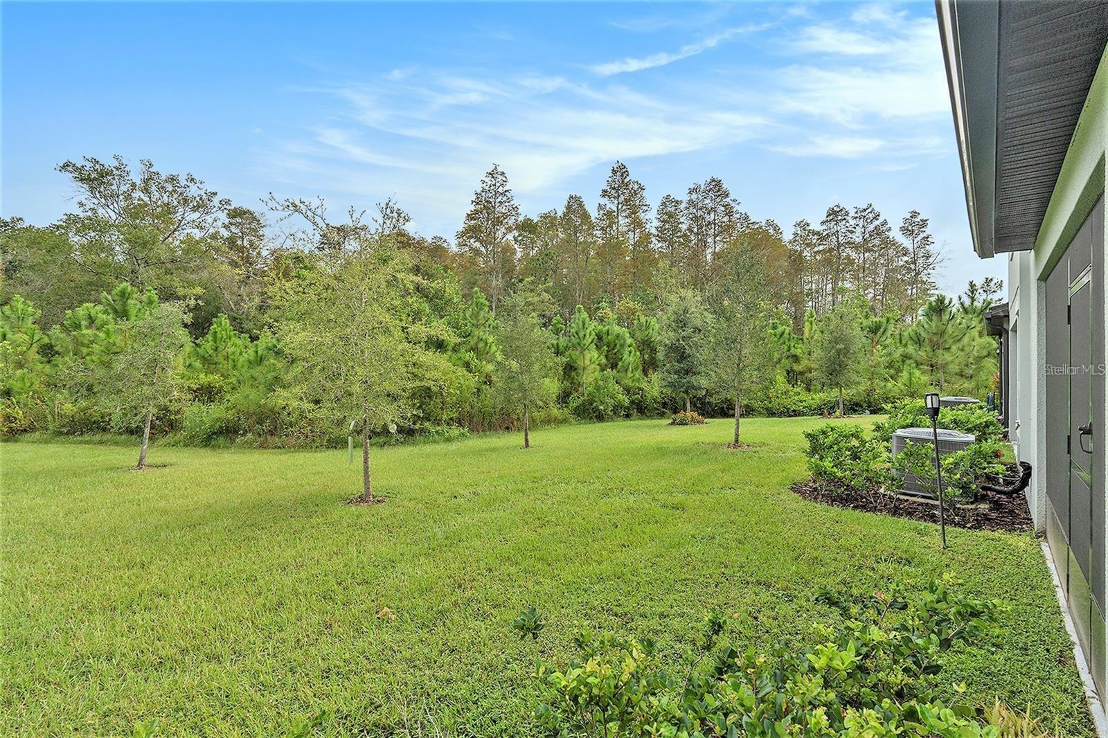 Nature View