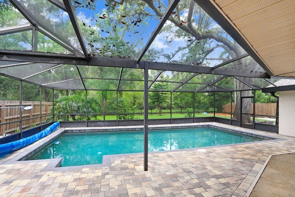 Screened in Pool