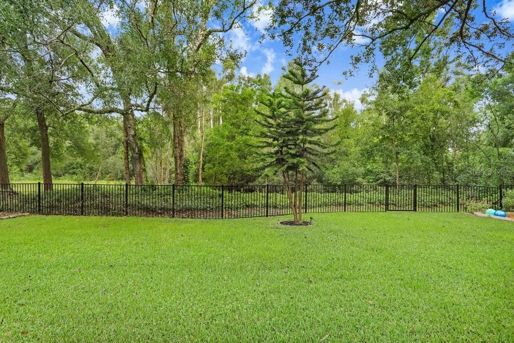 Fenced in Backyard Overlooking Conservation Lot
