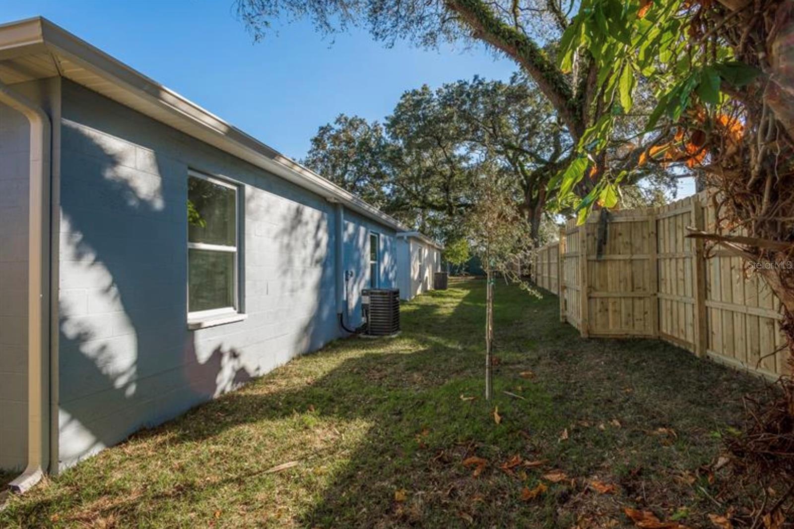 Backyard