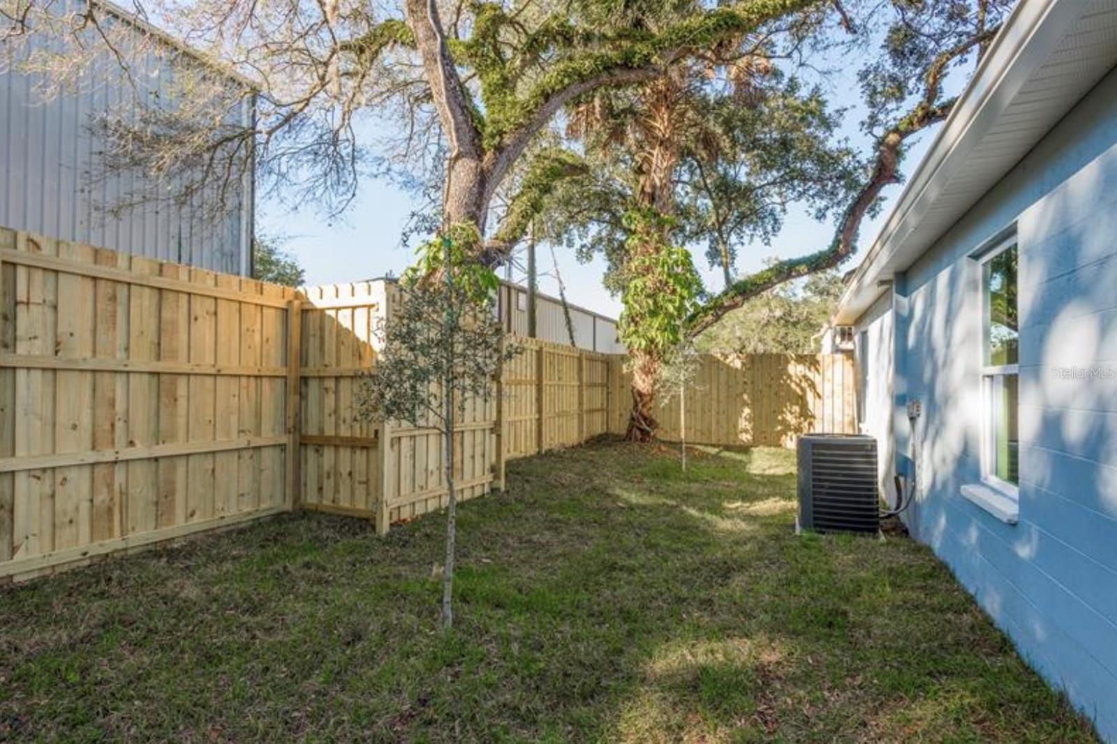 Backyard