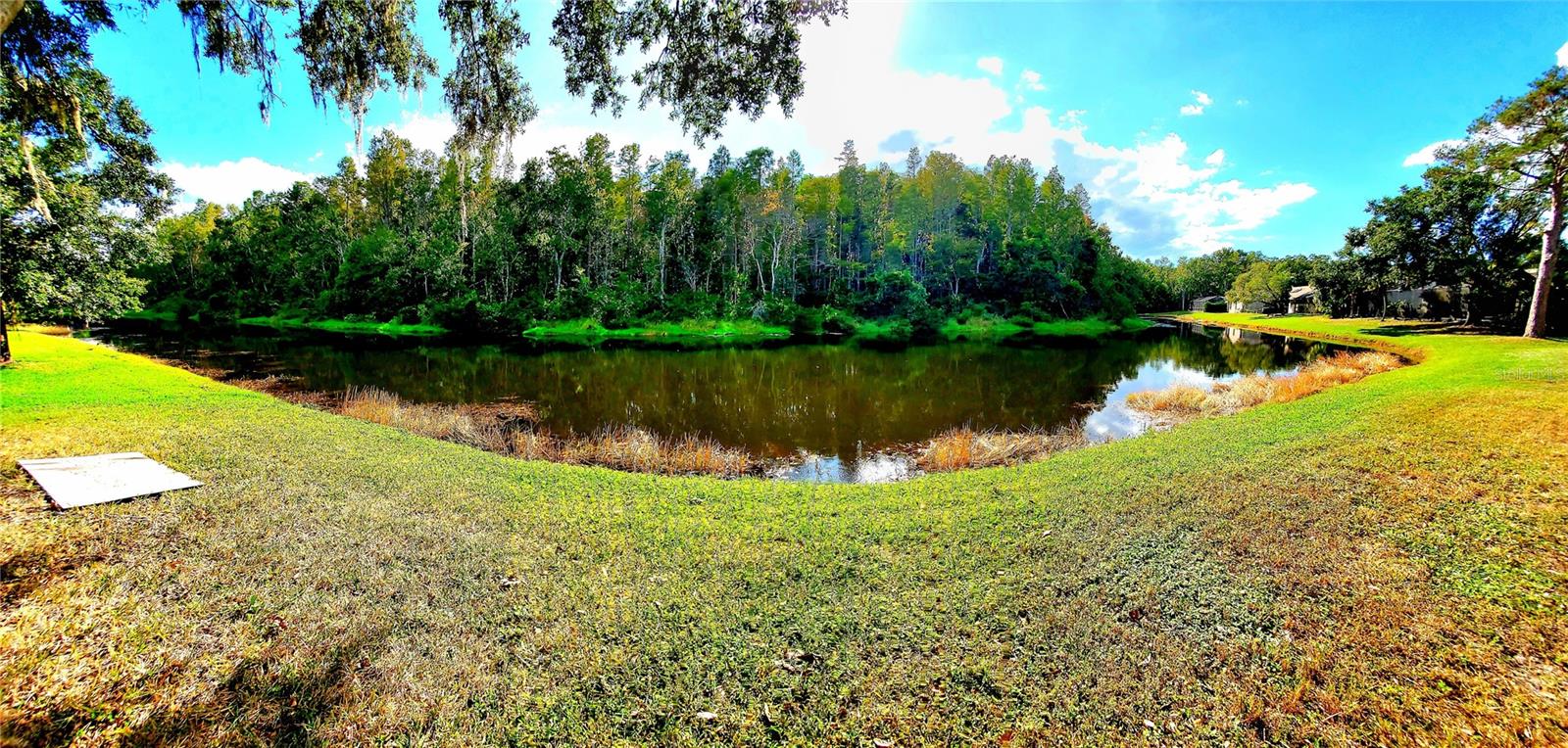 PANORAMIC VIEW