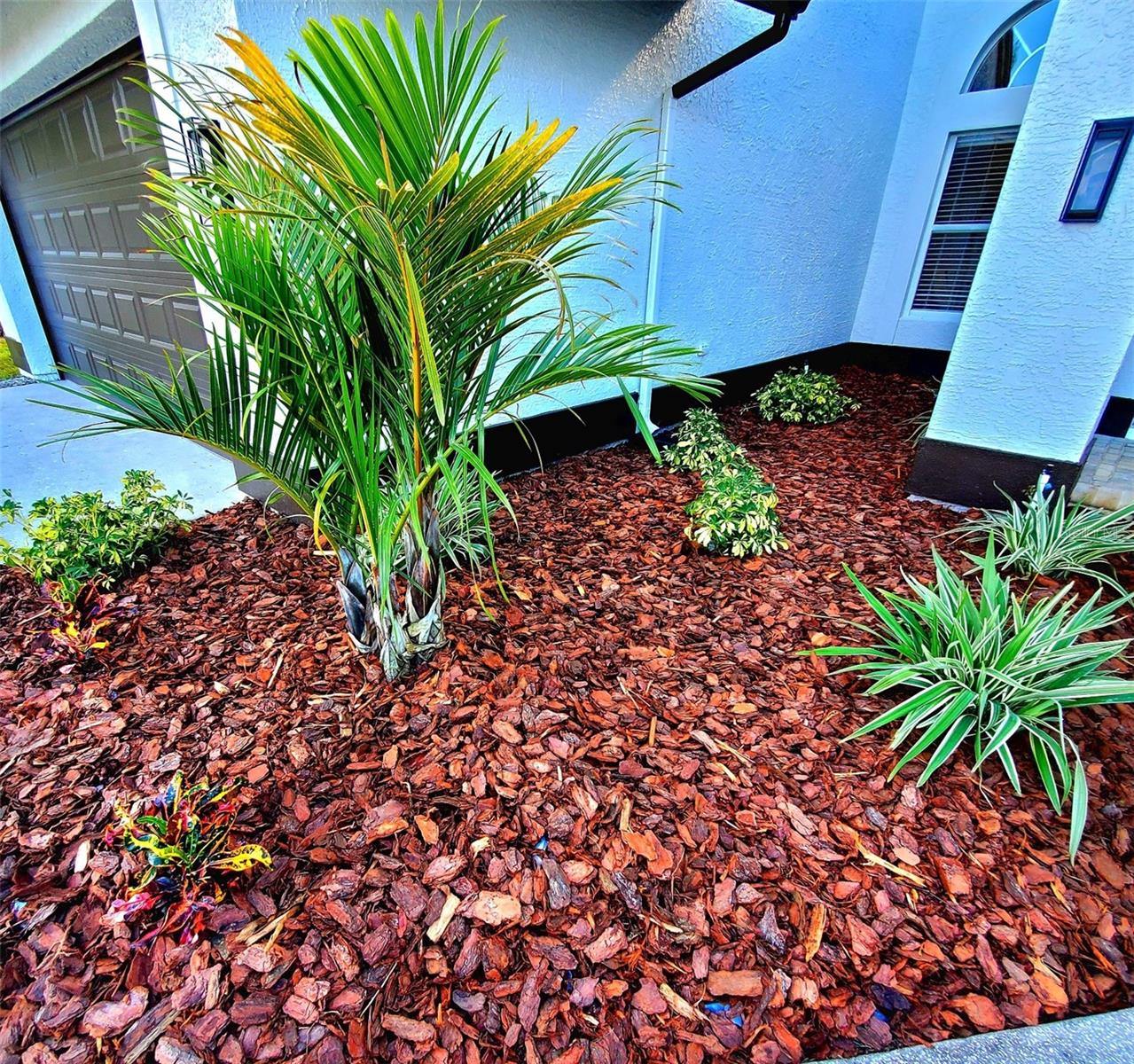 NEW LANDSCAPING