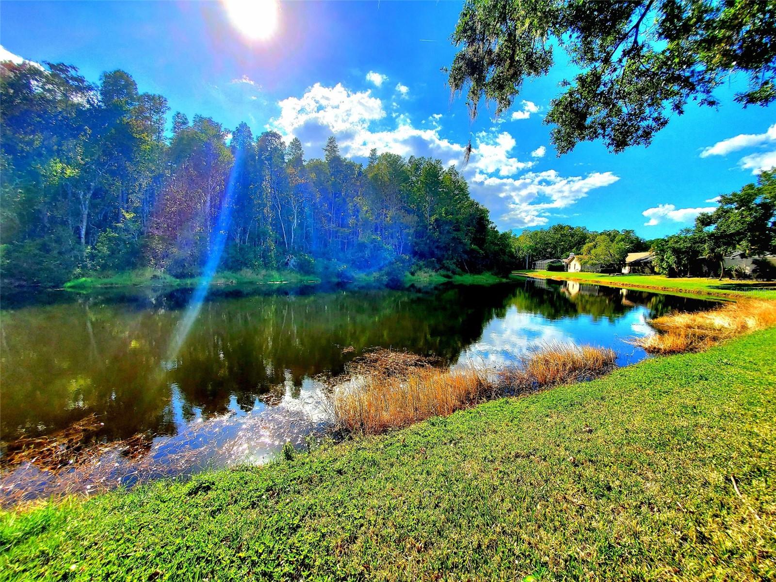 SCENIC VIEW
