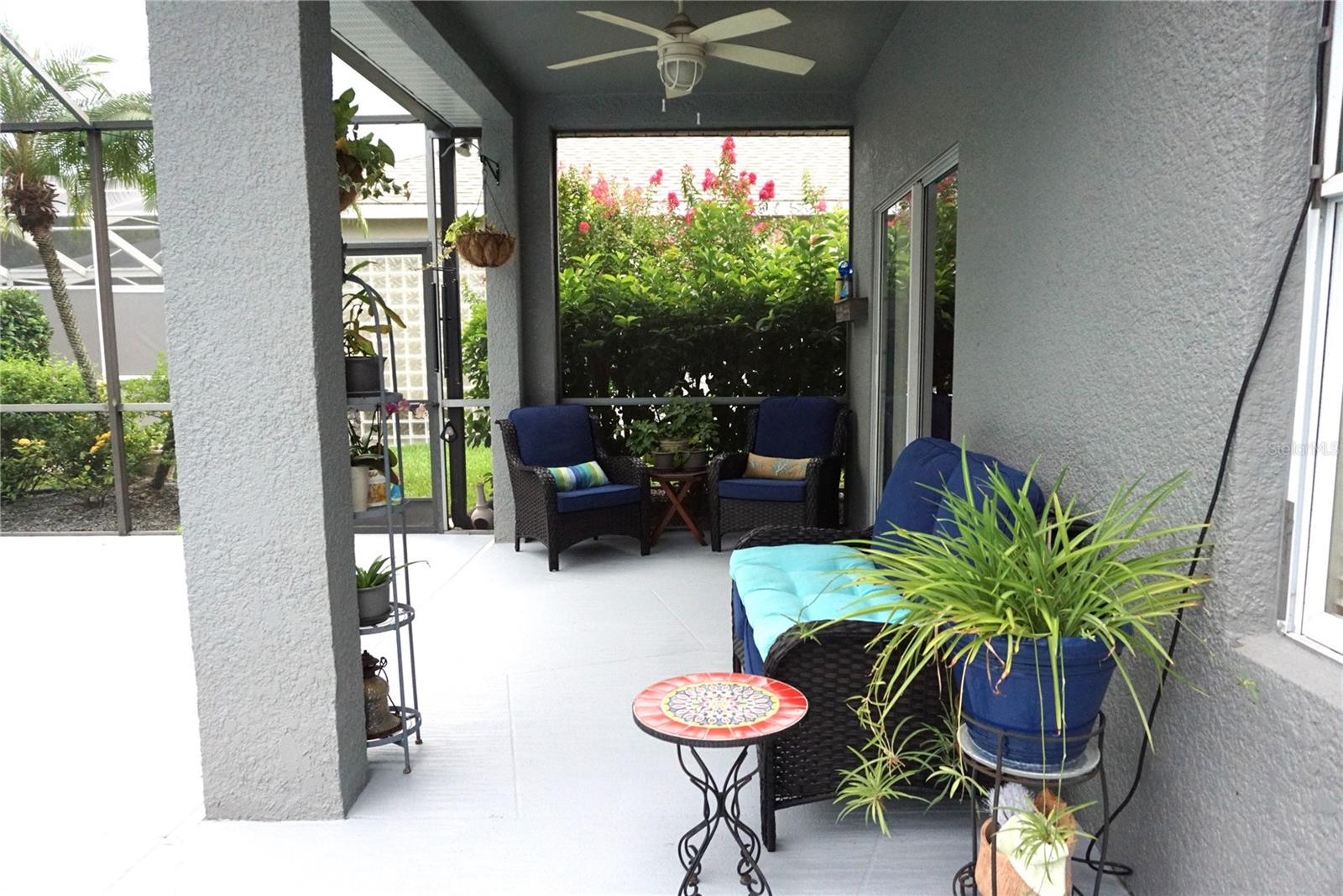 covered and screen patio area