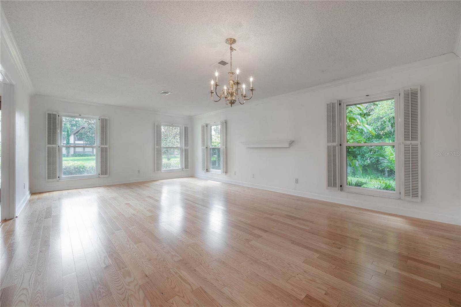 Living room/Dining room