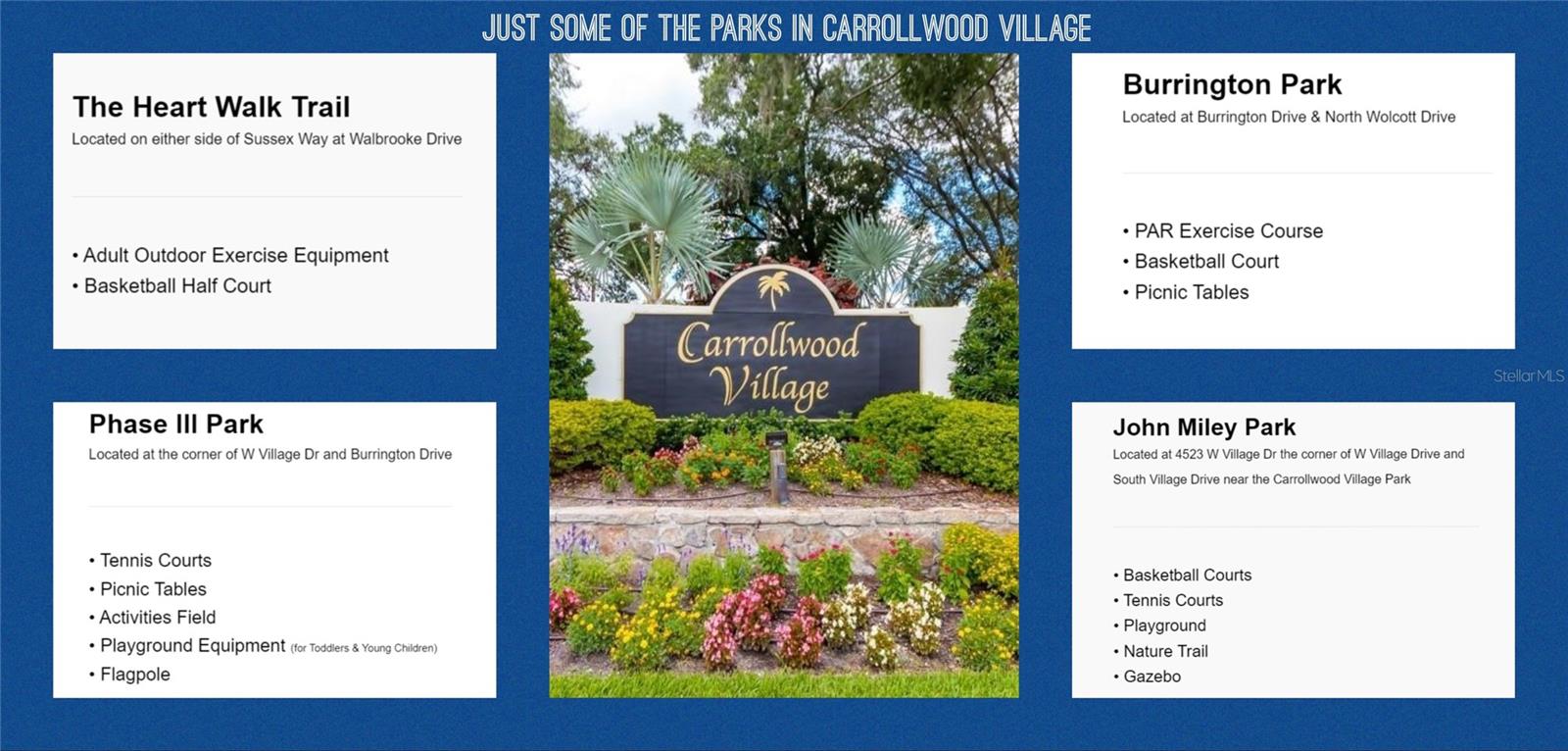 Carrollwood Village community amenities