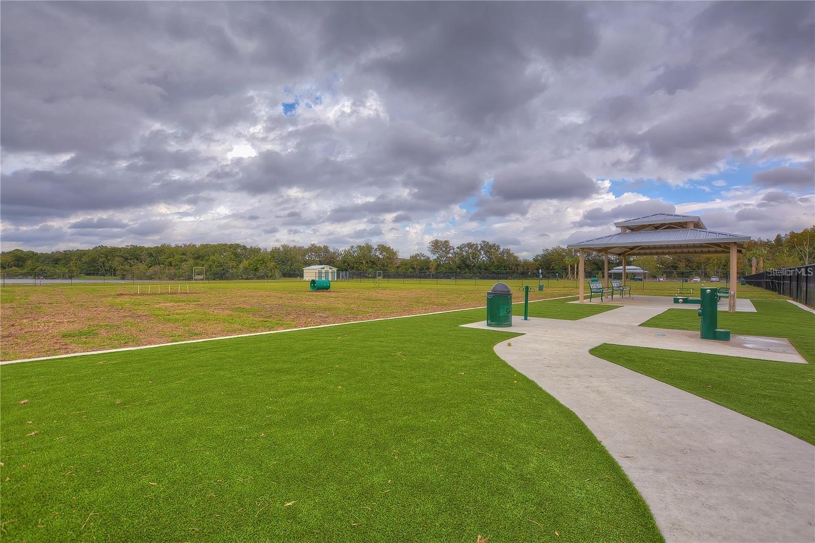 Carrollwood Village Park